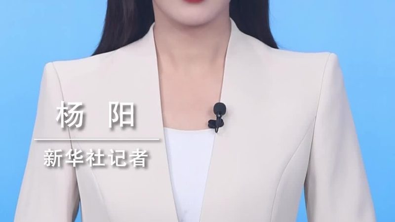 科技成果转化服务：费用构成与考量因素**
